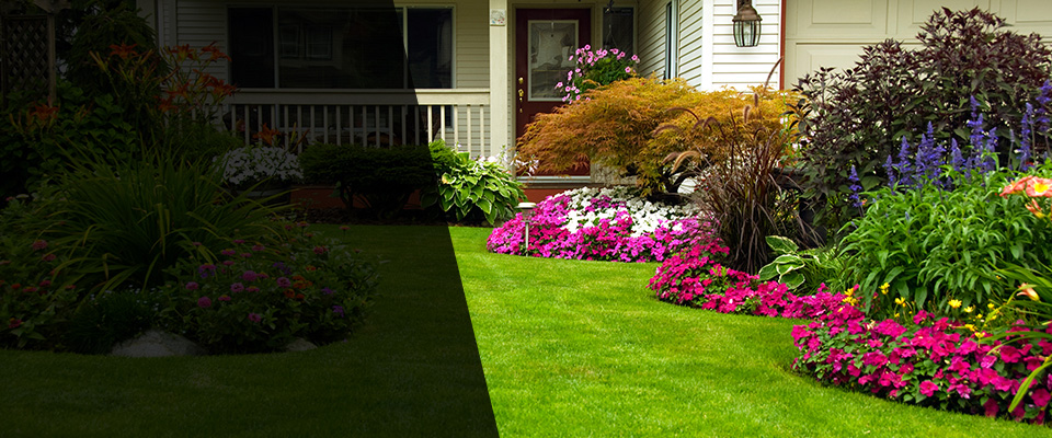 Lawrenceville Landscapers